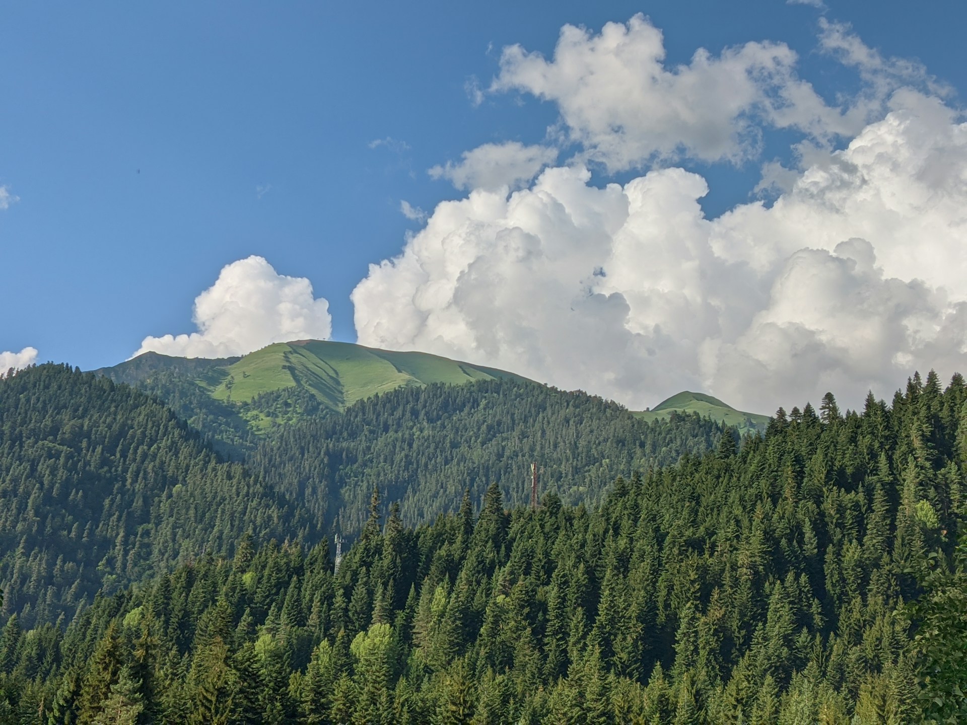 Georgia