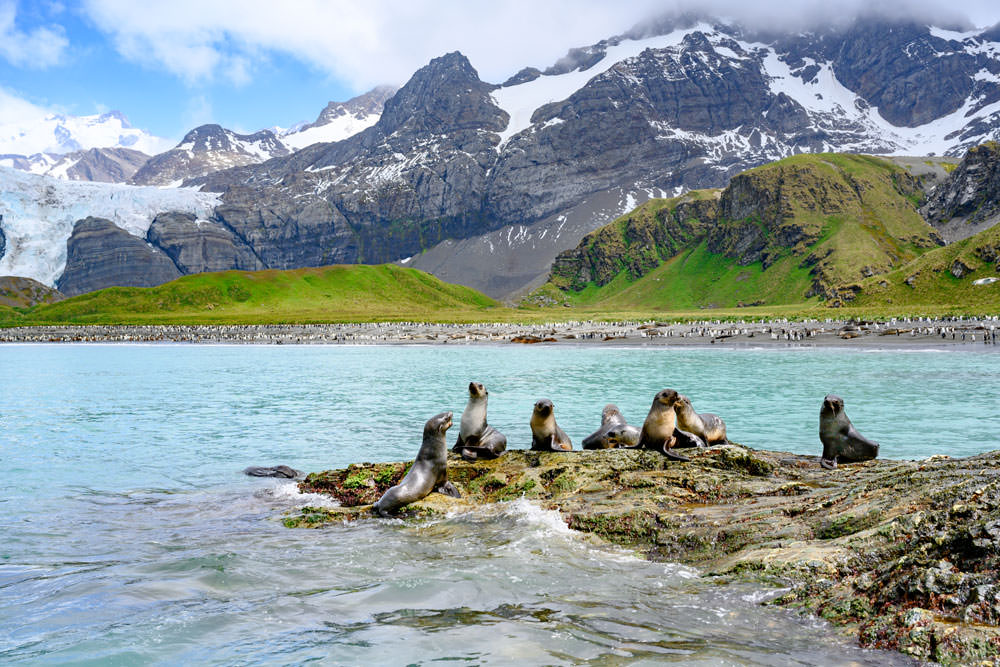 South Georgia & South Sandwich Islands