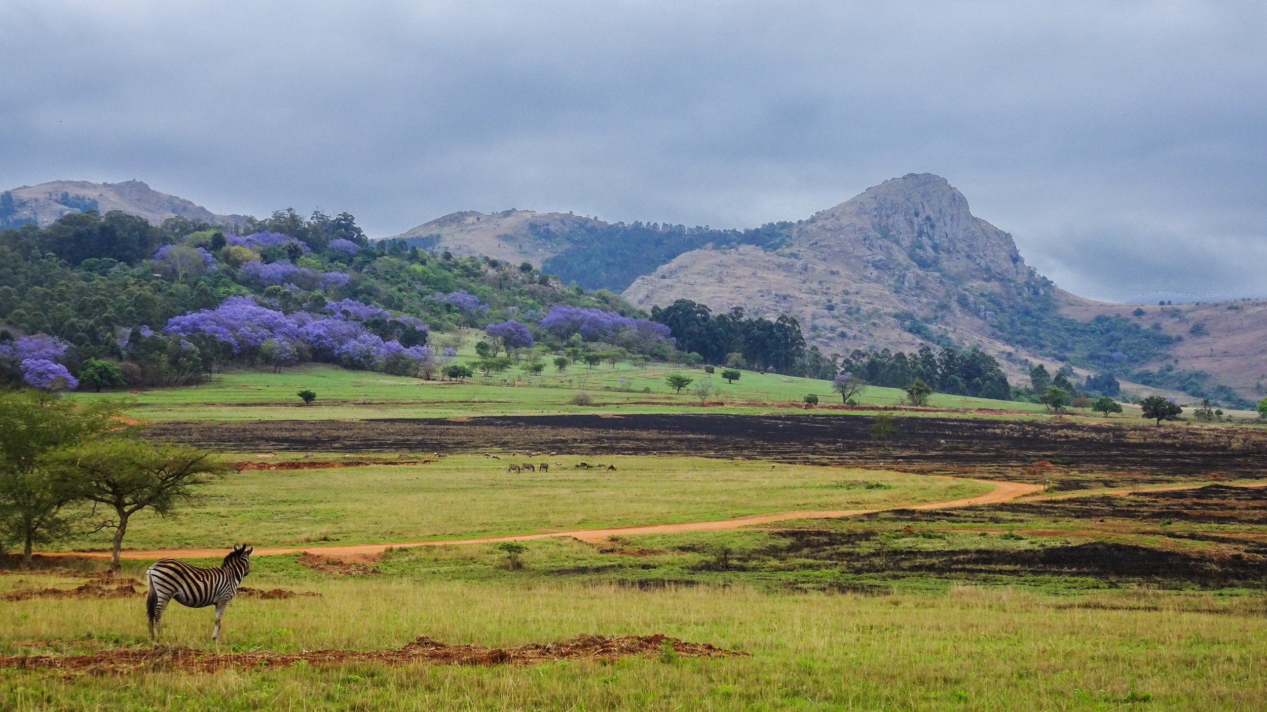 Swaziland